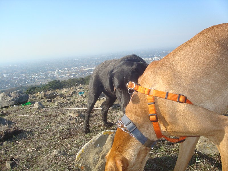 2015 Mount Taylor hike w Alex T Nay Romi Ren 04