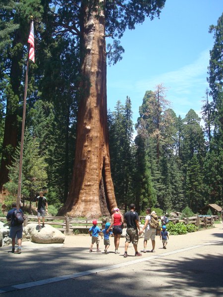 2015 Sequoia National Park w Reyes 053