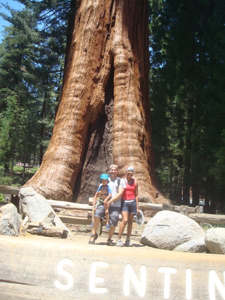 2015 Sequoia National Park w Reyes 056