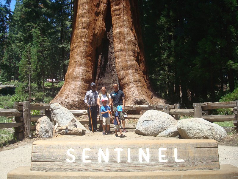 2015 Sequoia National Park w Reyes 059