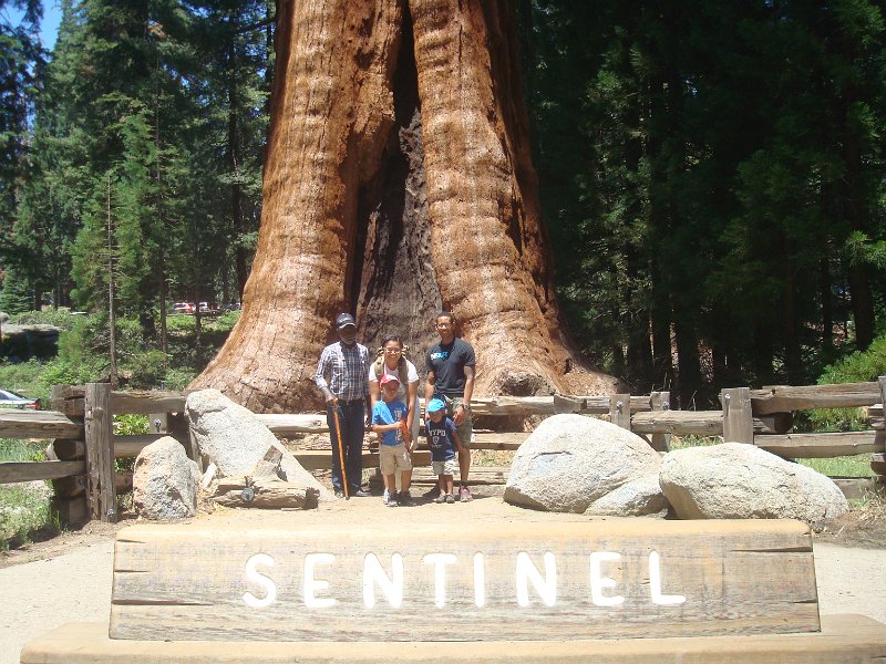 2015 Sequoia National Park w Reyes 060