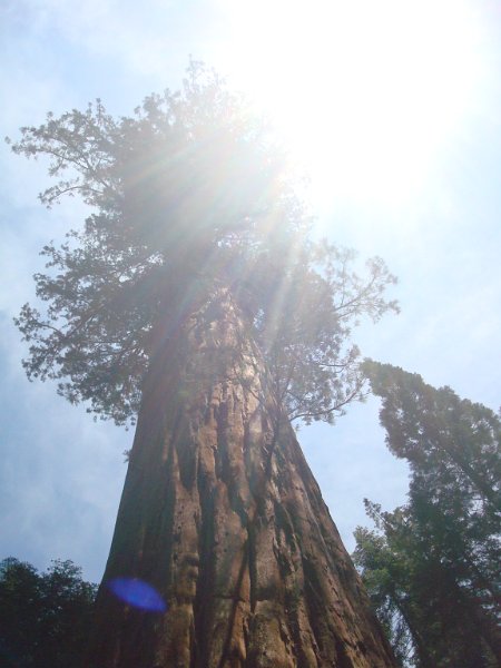 2015 Sequoia National Park w Reyes 068