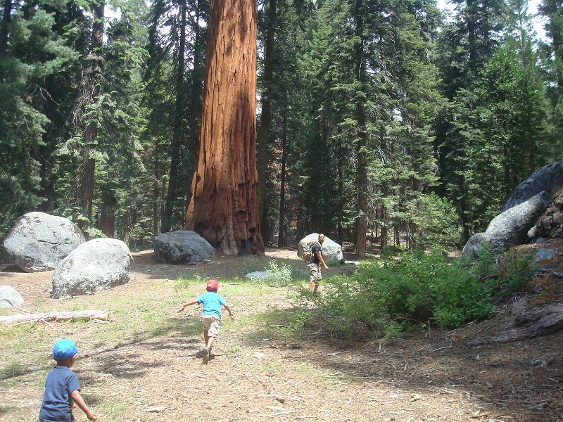 2015 Sequoia National Park w Reyes 071