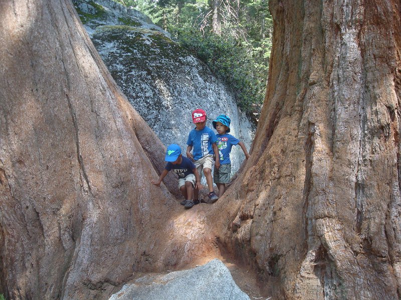 2015 Sequoia National Park w Reyes 087