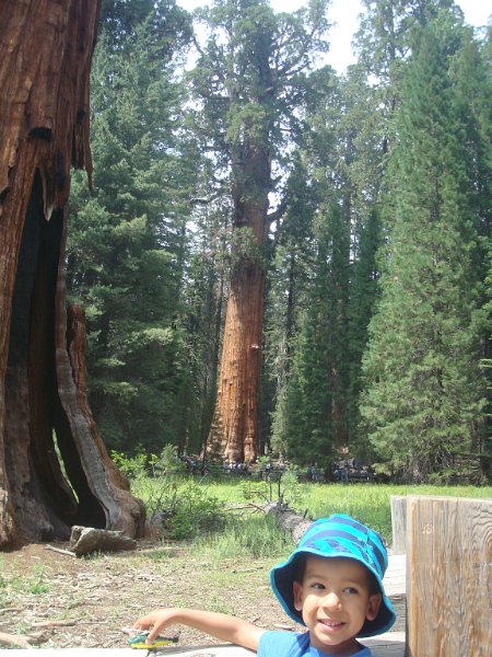 2015 Sequoia National Park w Reyes 101