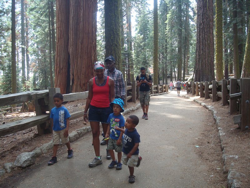 2015 Sequoia National Park w Reyes 106