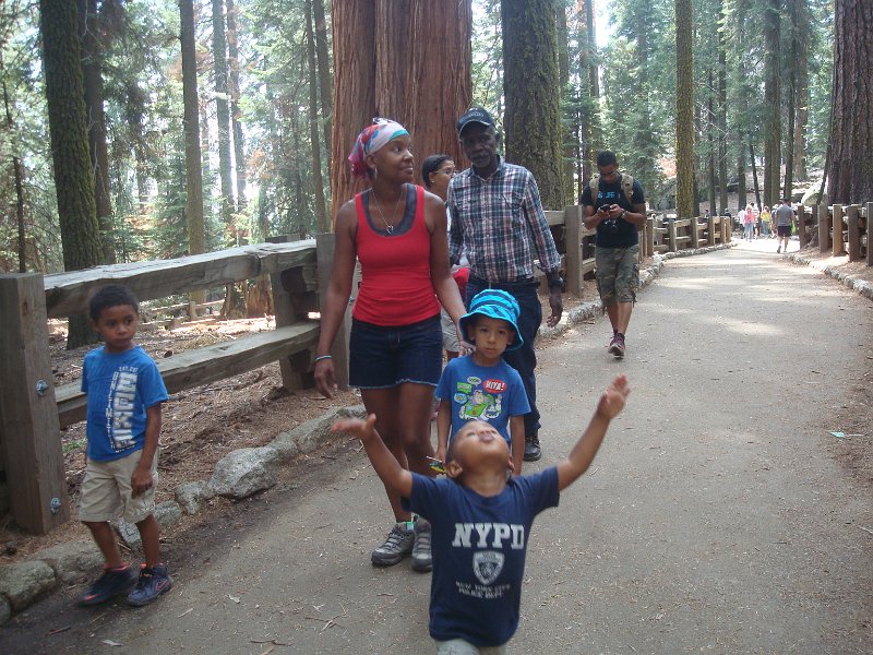 2015 Sequoia National Park w Reyes 107