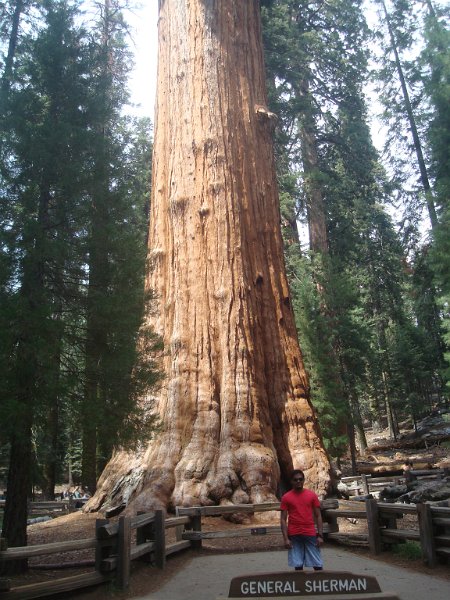 2015 Sequoia National Park w Reyes 108