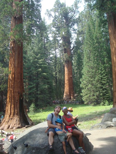 2015 Sequoia National Park w Reyes 116