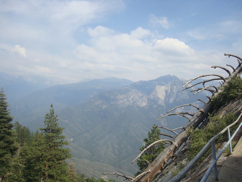 2015 Sequoia National Park w Reyes 125