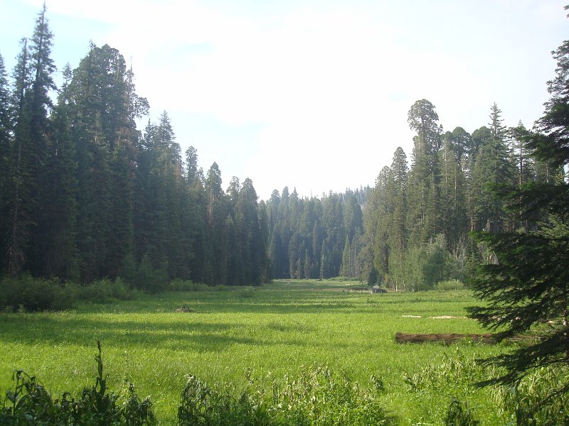 2015 Sequoia National Park w Reyes 139