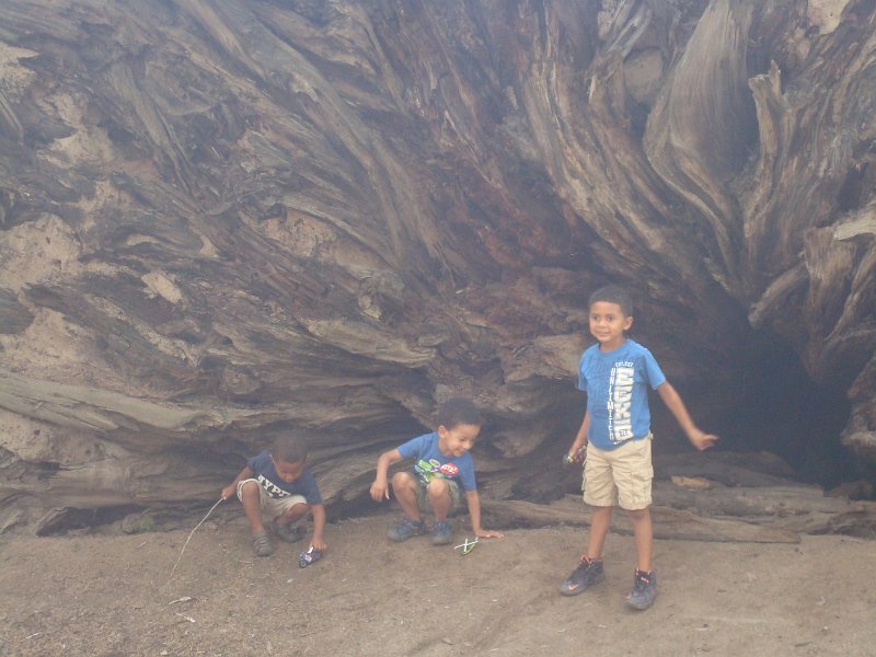 2015 Sequoia National Park w Reyes 146