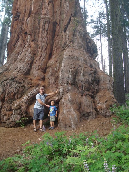 2015 Sequoia National Park w Reyes 149