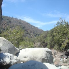 2015 Sequoia National Park w Reyes 039