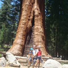 2015 Sequoia National Park w Reyes 056