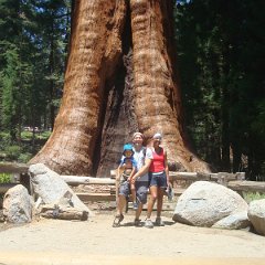 2015 Sequoia National Park w Reyes 057