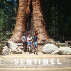 2015 Sequoia National Park w Reyes 059