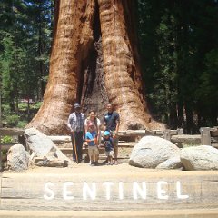 2015 Sequoia National Park w Reyes 060