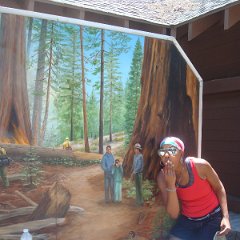 2015 Sequoia National Park w Reyes 061