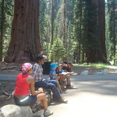 2015 Sequoia National Park w Reyes 064