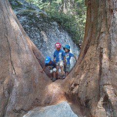 2015 Sequoia National Park w Reyes 087