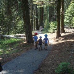 2015 Sequoia National Park w Reyes 089