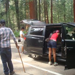 2015 Sequoia National Park w Reyes 095