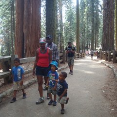 2015 Sequoia National Park w Reyes 106