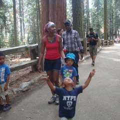 2015 Sequoia National Park w Reyes 107