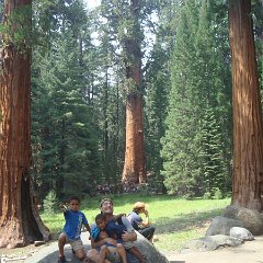 2015 Sequoia National Park w Reyes 114