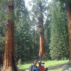 2015 Sequoia National Park w Reyes 116