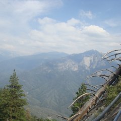 2015 Sequoia National Park w Reyes 125