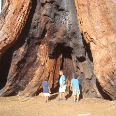 2015 Sequoia National Park w Reyes 140