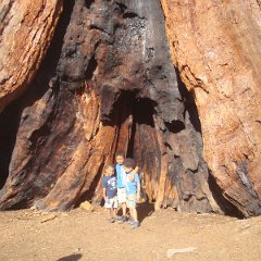 2015 Sequoia National Park w Reyes 141