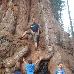 2015 Sequoia National Park w Reyes 150