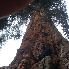 2015 Sequoia National Park w Reyes 152