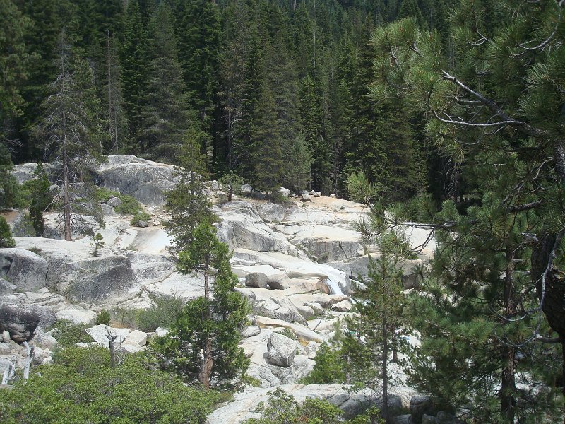 2015 Sequoia National Park w Reyes 169