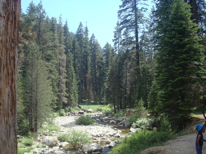 2015 Sequoia National Park w Reyes 171