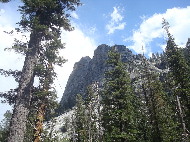 2015 Sequoia National Park w Reyes 174