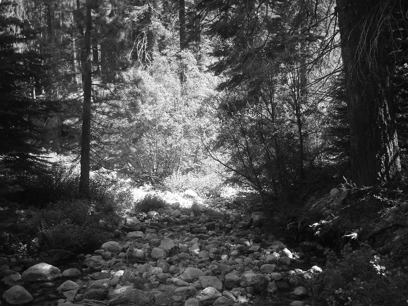 2015 Sequoia National Park w Reyes 179