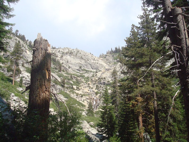 2015 Sequoia National Park w Reyes 183