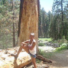 2015 Sequoia National Park w Reyes 172