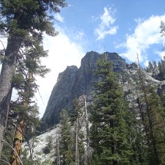 2015 Sequoia National Park w Reyes 174