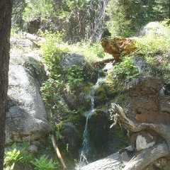 2015 Sequoia National Park w Reyes 176