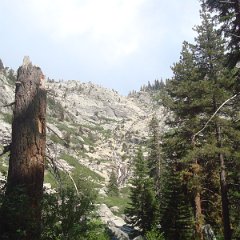 2015 Sequoia National Park w Reyes 183