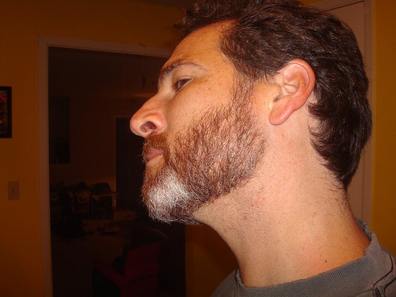 2015 Todd's Beard 02