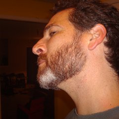 2015 Todd's Beard 02