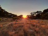 2019 Joe Rodota ride n bodega head hike 08 15 19 56 31 04