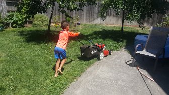 2019 front yard 06 30 11 43 23 02 Al mowing lawn for the first time