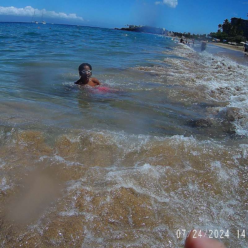 29: 2024-underwater_maui-0724_1405-81